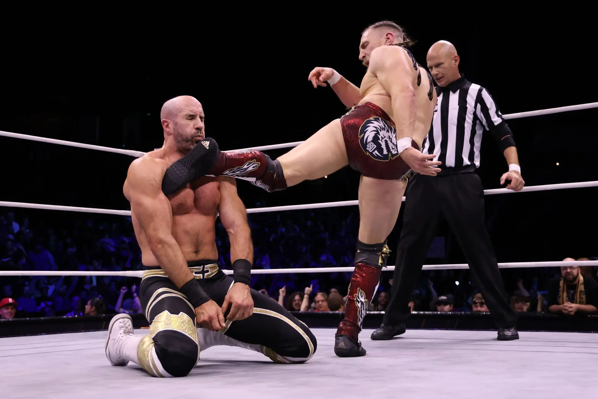 AEW Dynamite (8.10.24) Ergebnisse: Bryan Danielson in seinem letzten TV-Match?