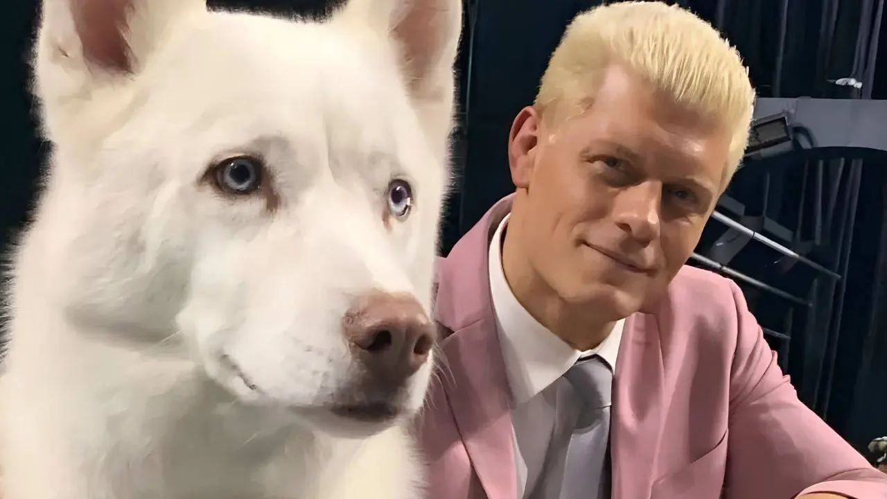 wwe_cody_rhodes_pharaoh