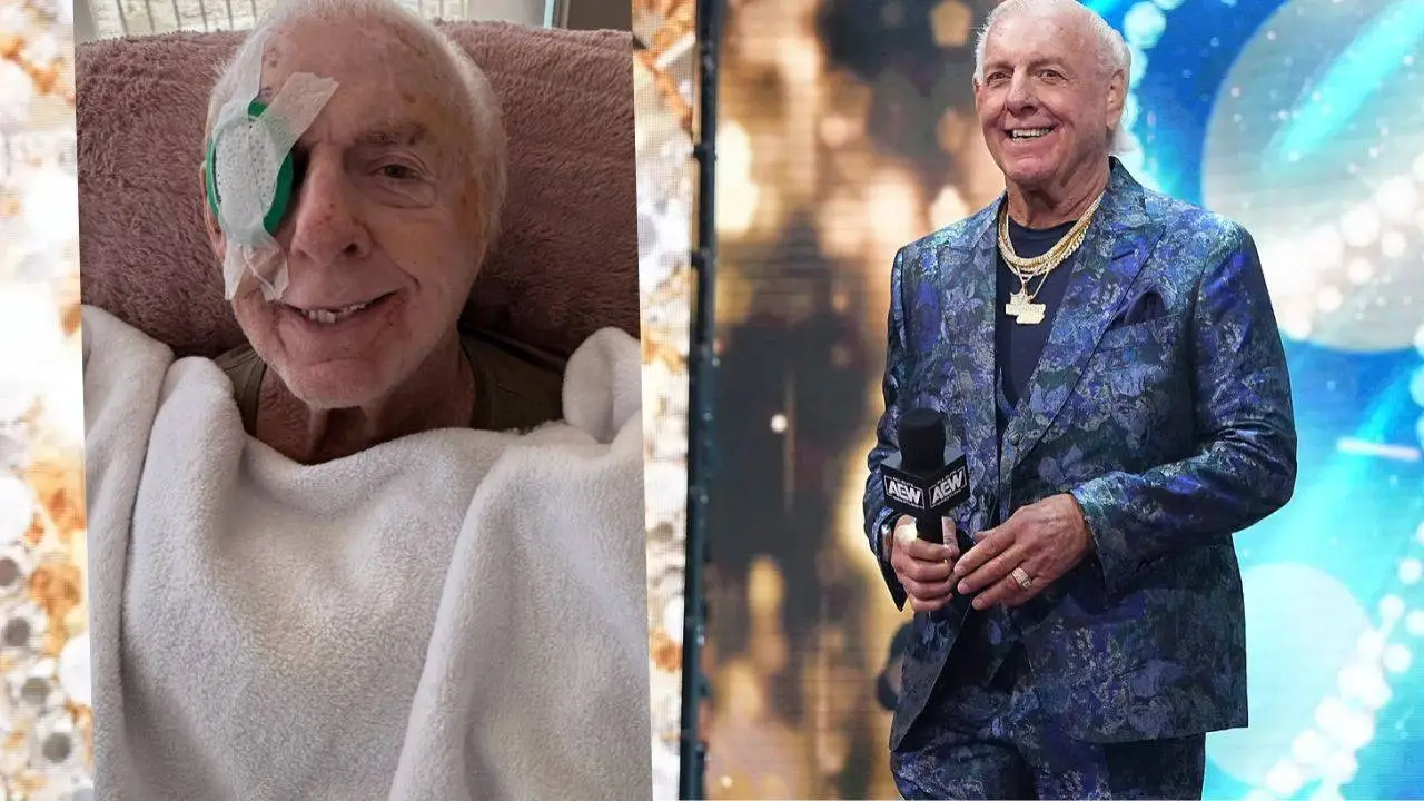 wwe_ric_flair_sturz_241026