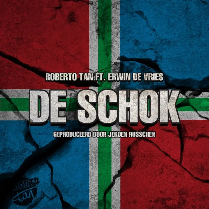 De Schok artwork e1421161733707