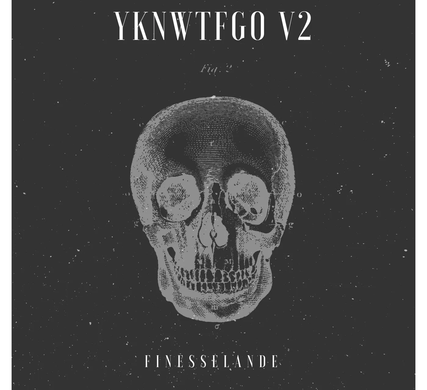 YKNWTFGO V2 1
