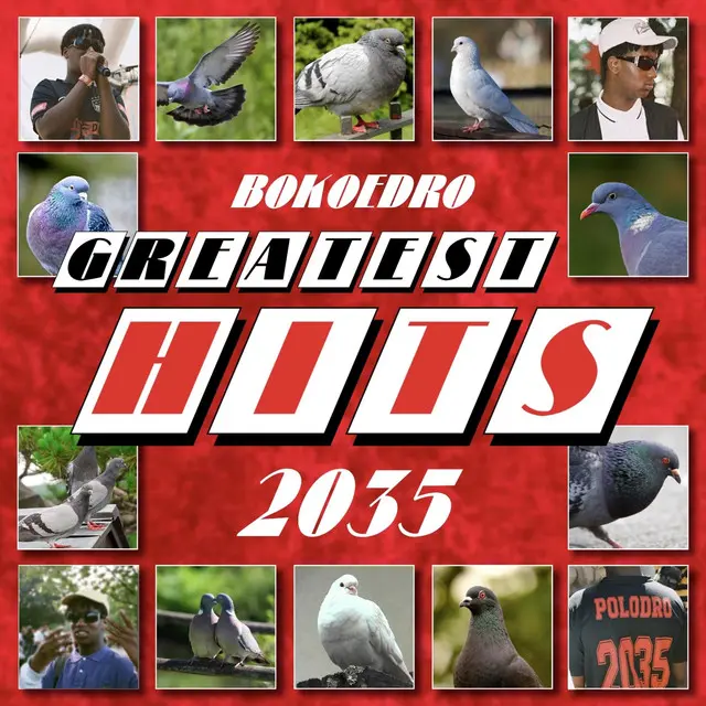 bokoedro 2035
