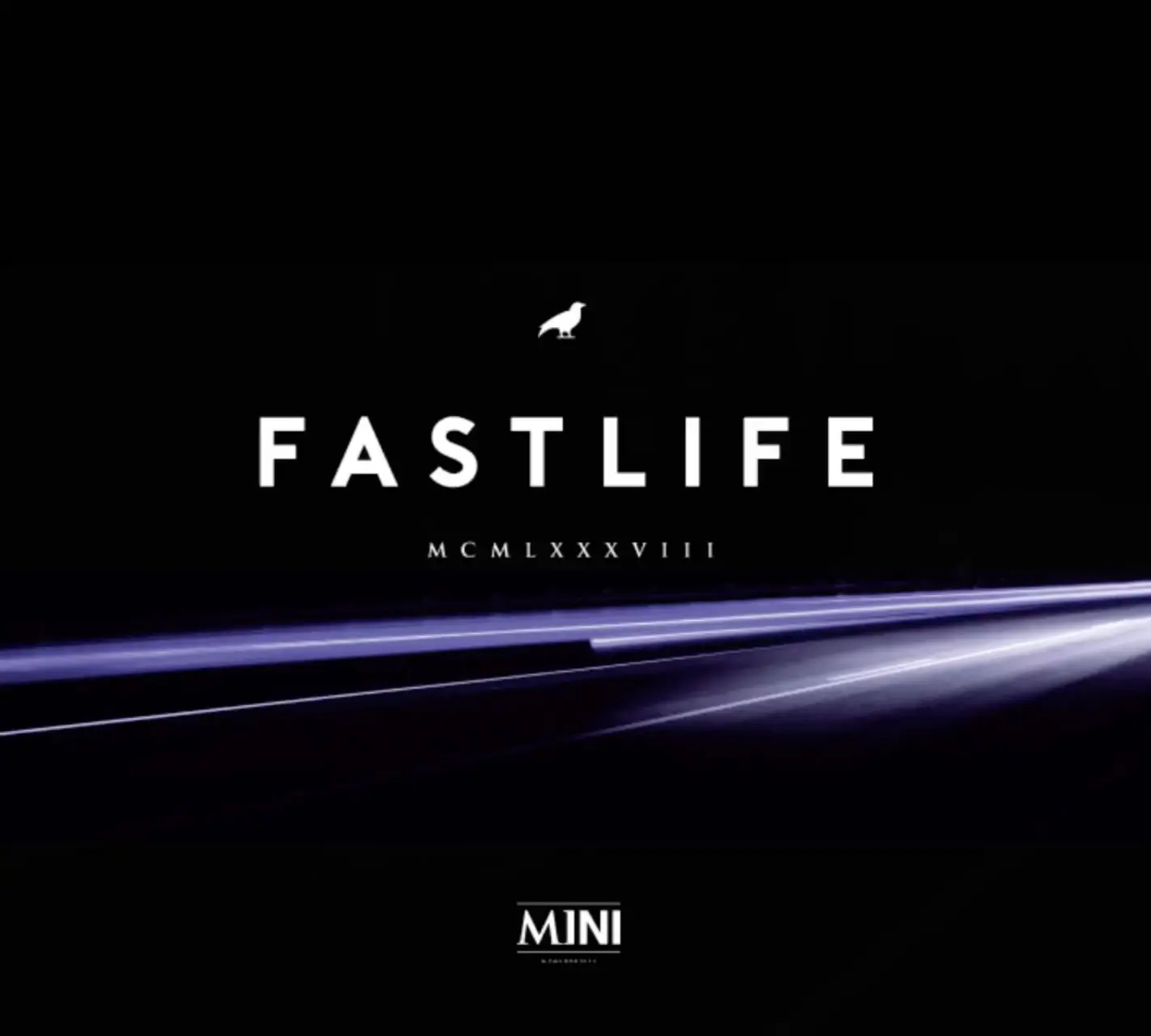 mini fastlife