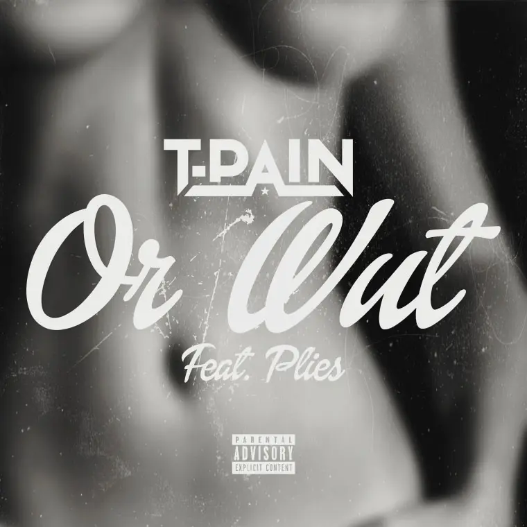 tpain or wut