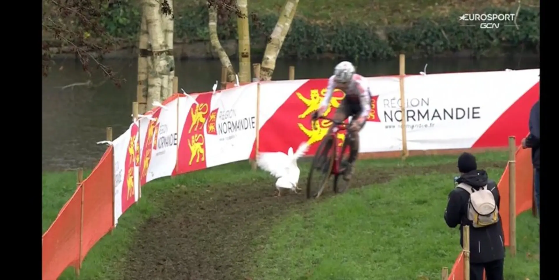 VIDEO: Zwei Enten zwingen Fahrer dazu, einen verhängnisvollen Zusammenstoß beim World Cup Flamanville knapp zu vermeiden