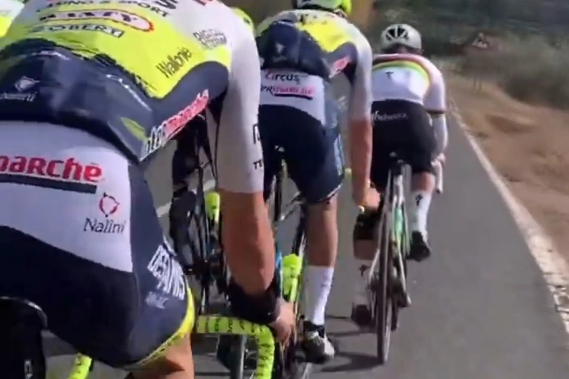 VIDEO: Lotte Kopecky testet die Intermarche - Wanty Fahrer bei der Trainingsfahrt vor der Saison auf Herz und Nieren