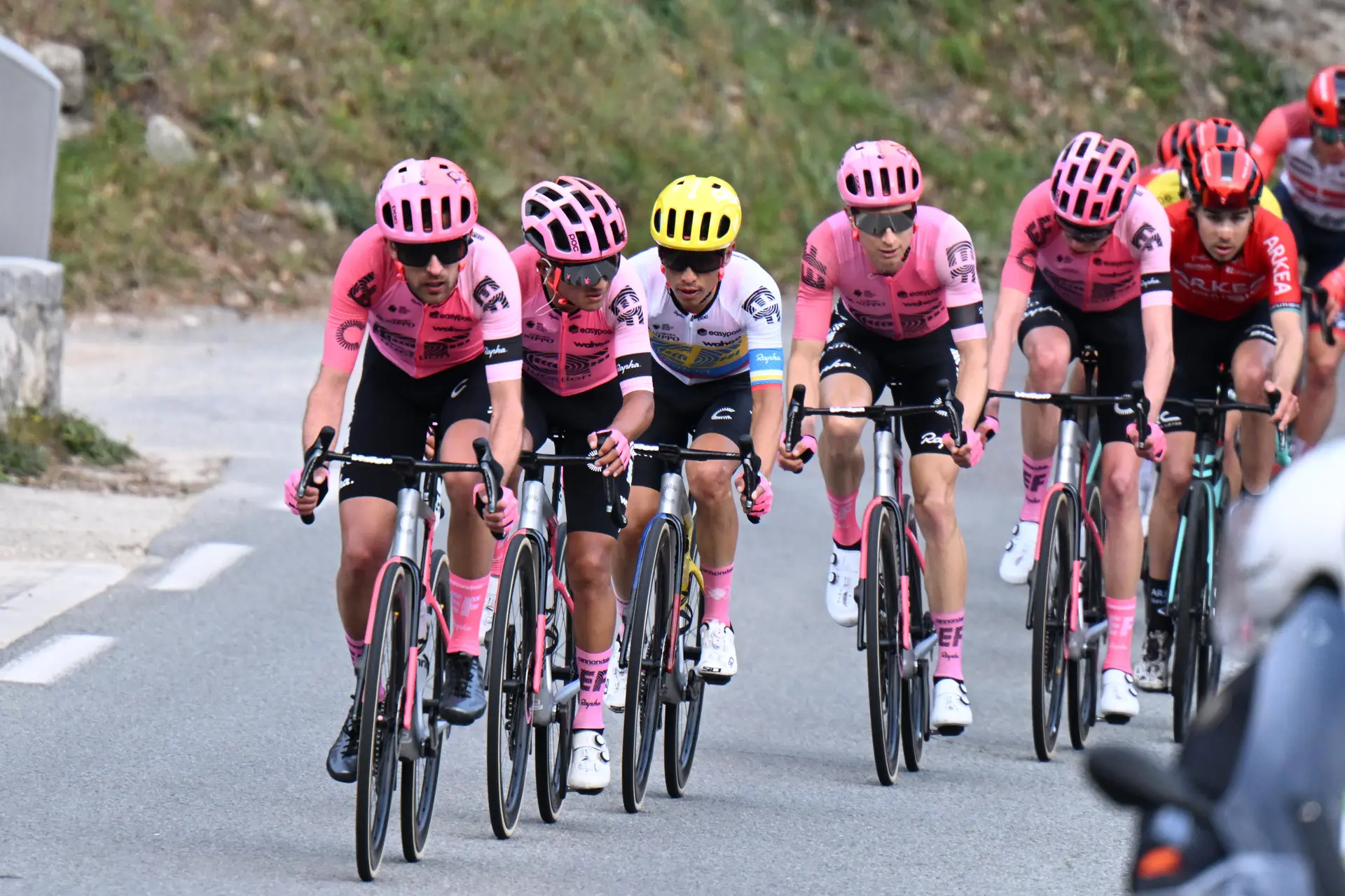 Archie Ryan führt die junge EF Education-EasyPost bei der Tour Down Under an