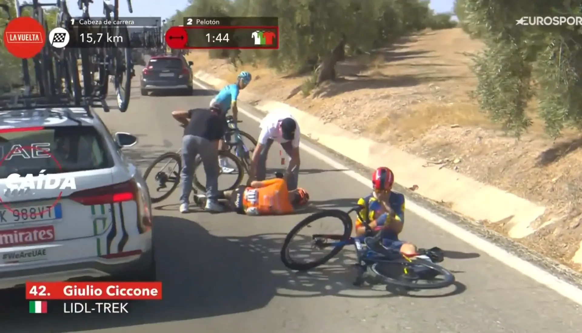 ciervos vuelta a espana