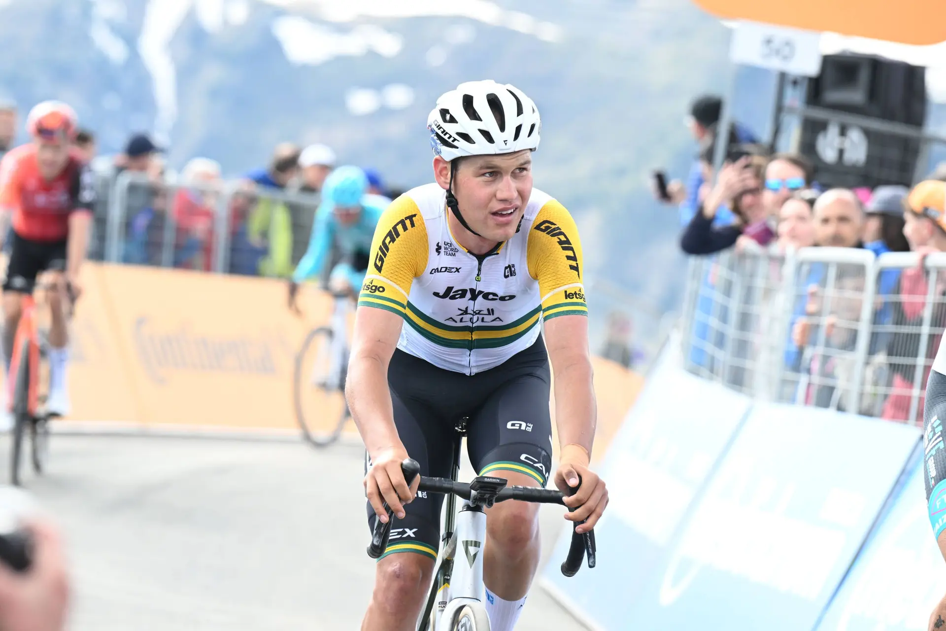 Kein Caleb Ewan: Jayco AlUla setzt bei der Tour Down Under 2025 auf Plapp und Schmid