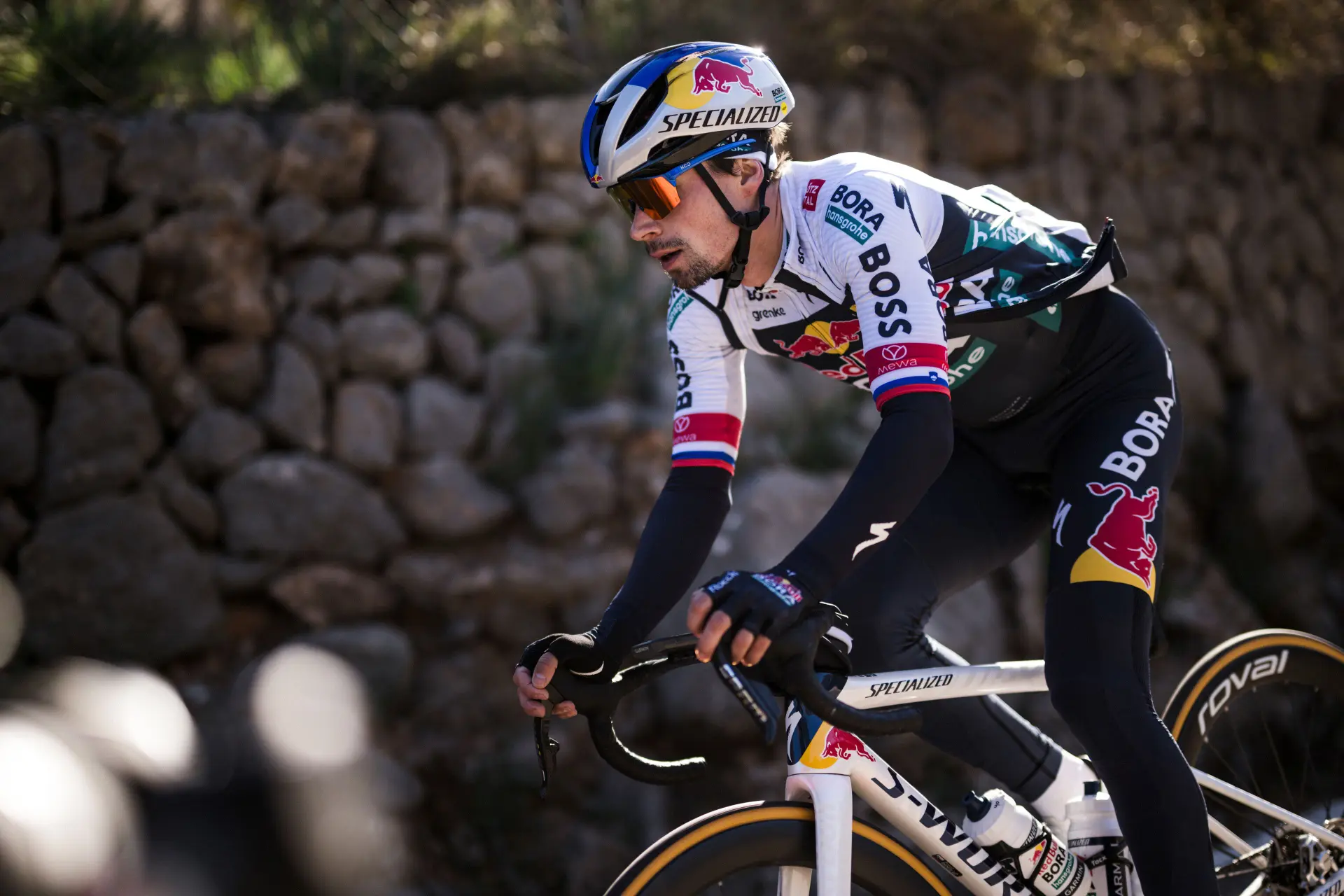 Roglics riskante Route: Giro und Tour statt Vuelta – "Die Tour de France ist immer noch das Hauptziel"