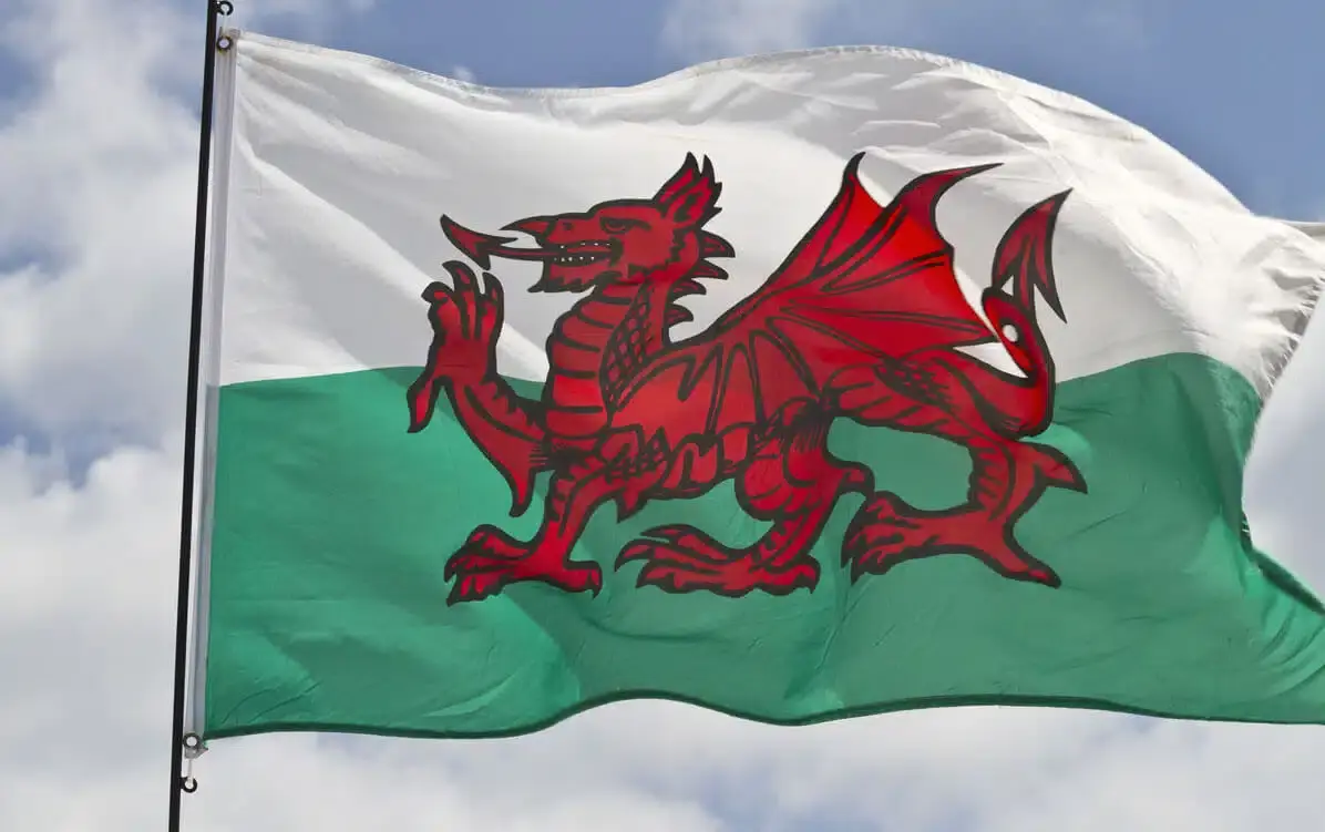 ex wales skipper retires