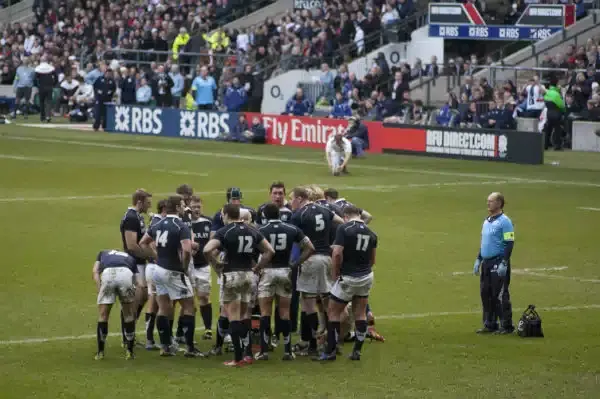 scotland rugby