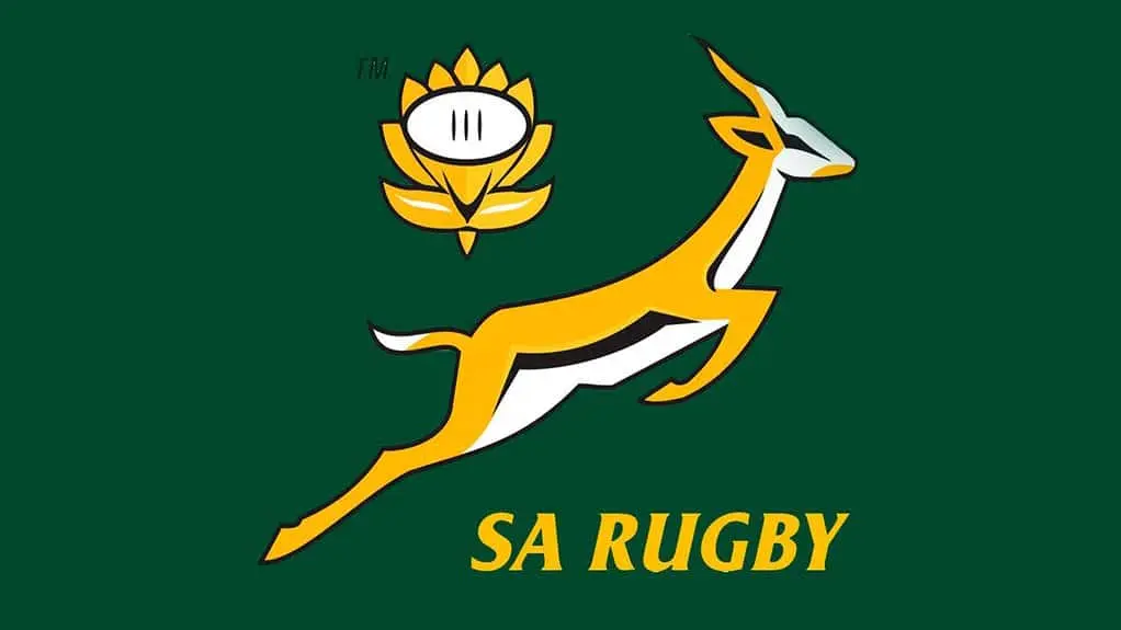 0000538581 resized southafricaspringboks1022 1