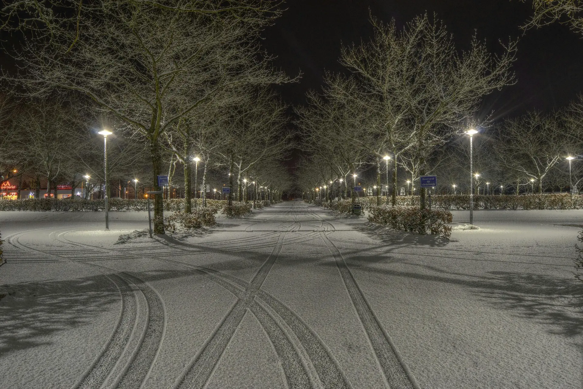 Code oranje afgegeven: ''Enorme sneeuwbuien op komst''
