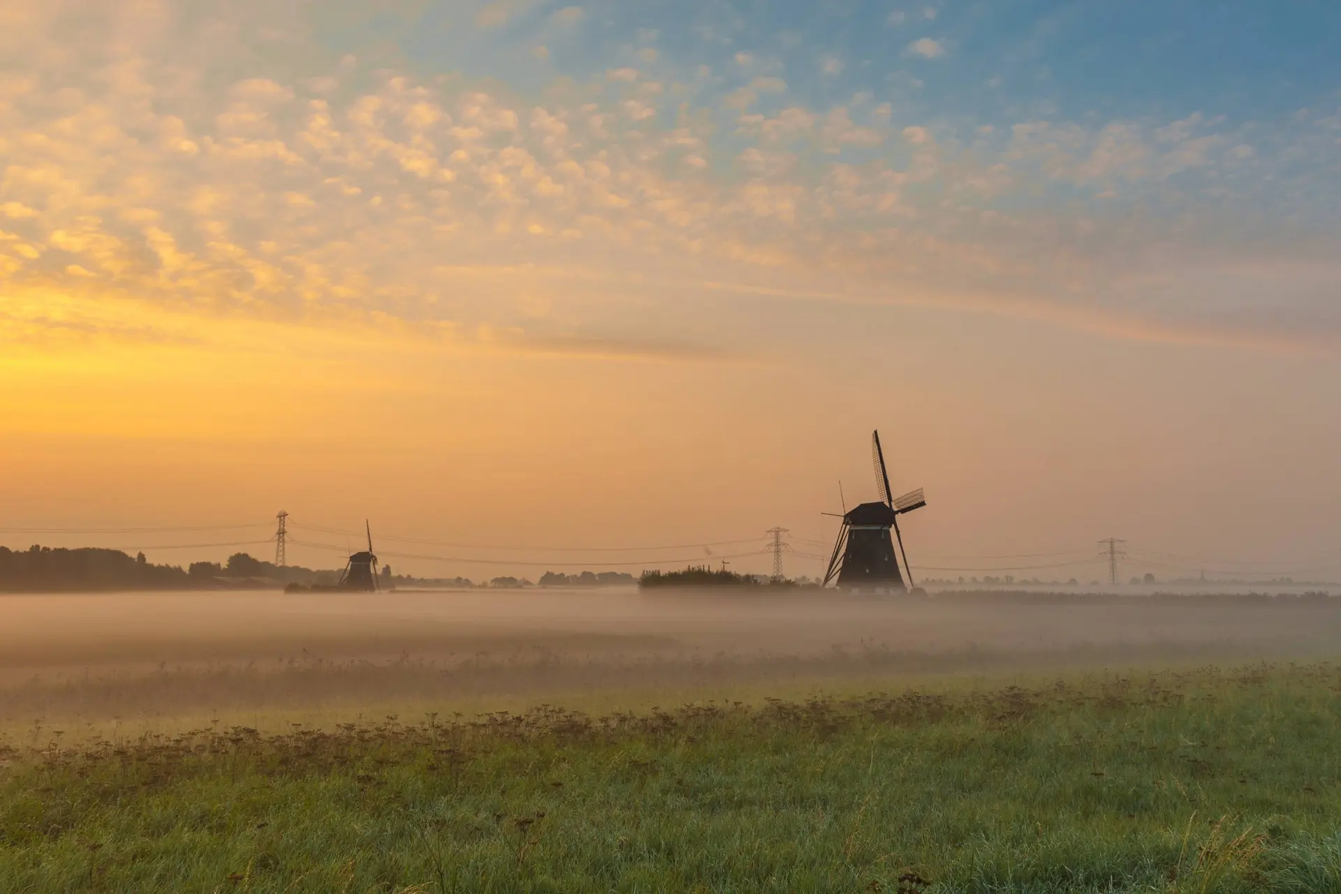 beautiful shot mills field with sun rising