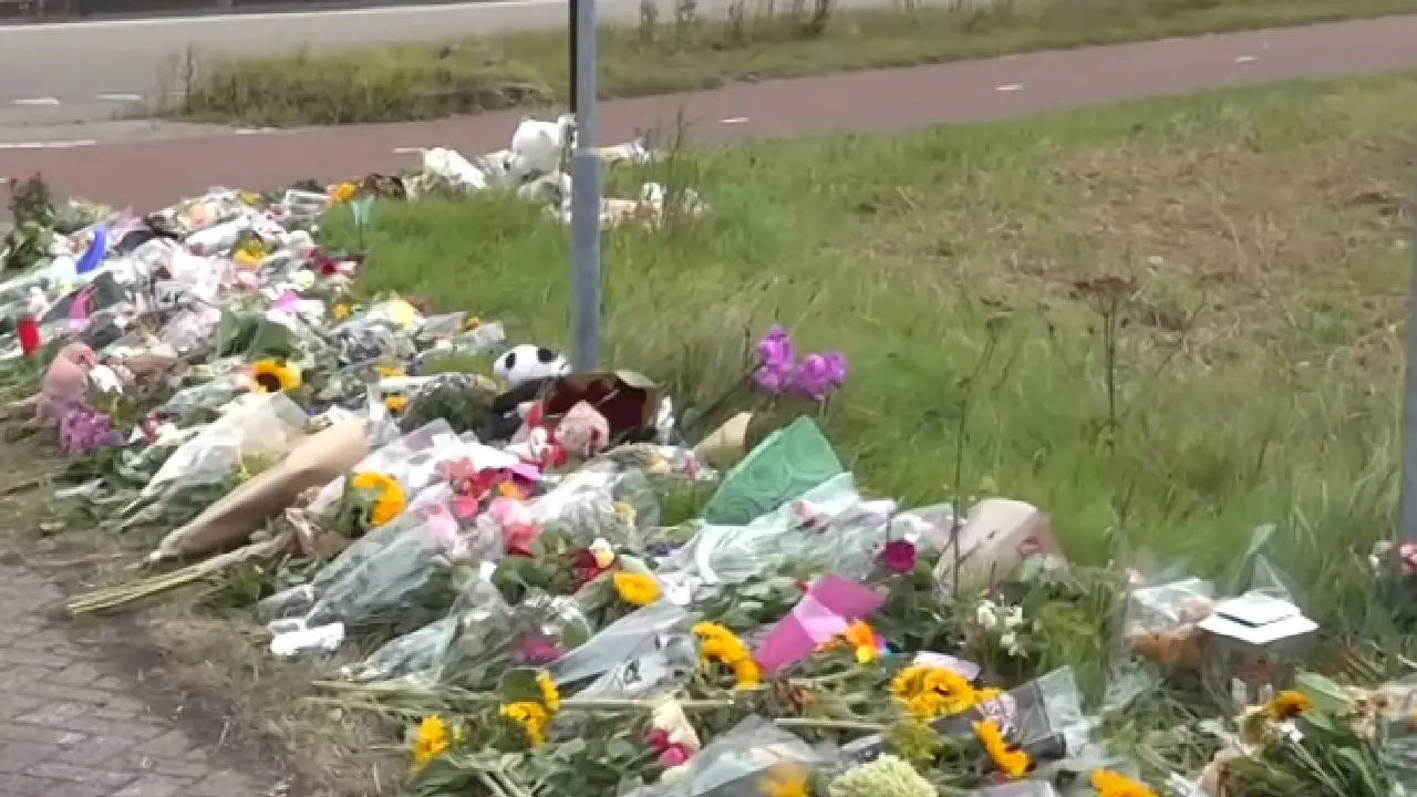 Eindelijk informatie over verdachte van de moord op Lisa