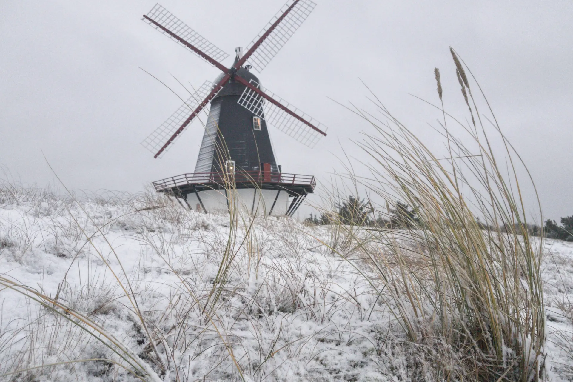 Weer enorme hoeveelheid sneeuw op komst: Zoveel valt er morgen