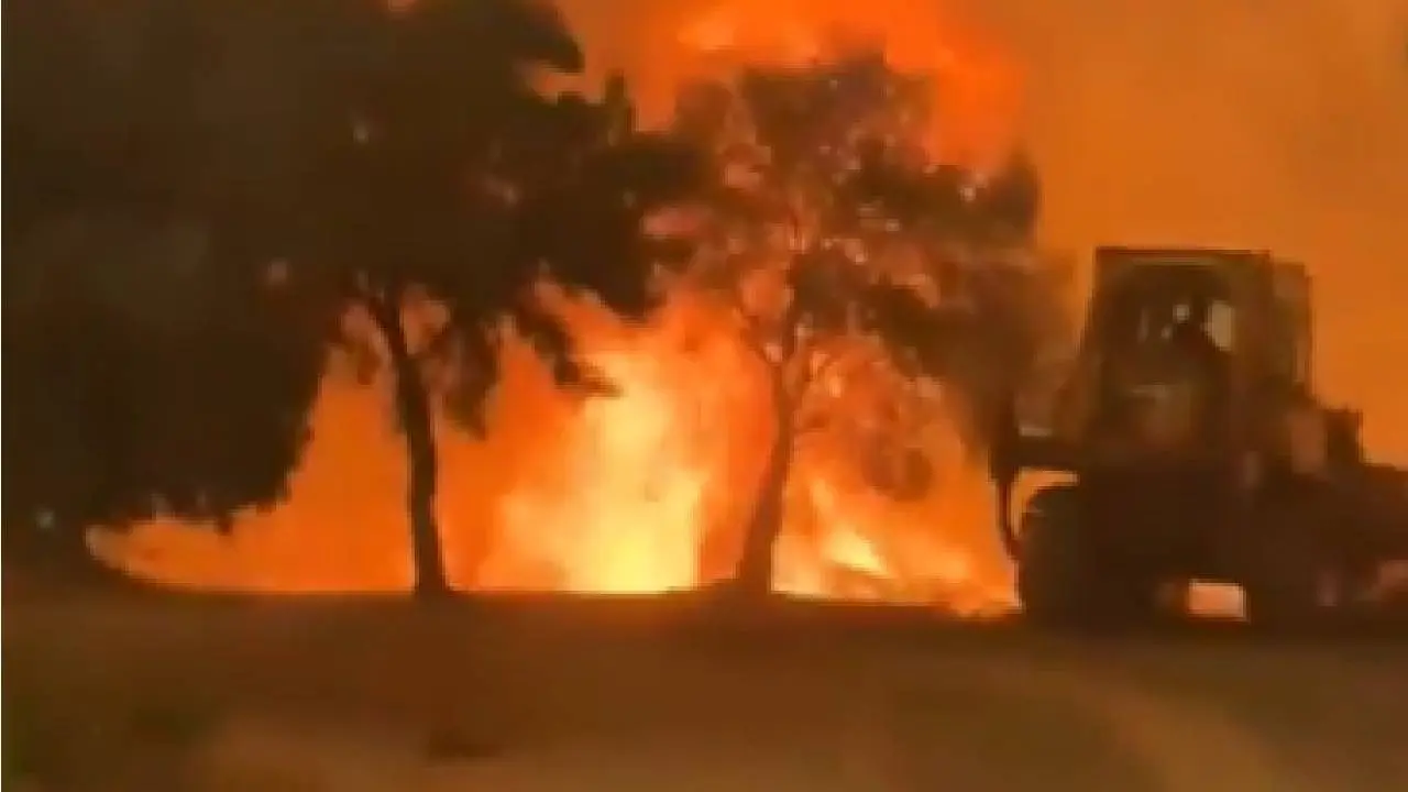 Brand133