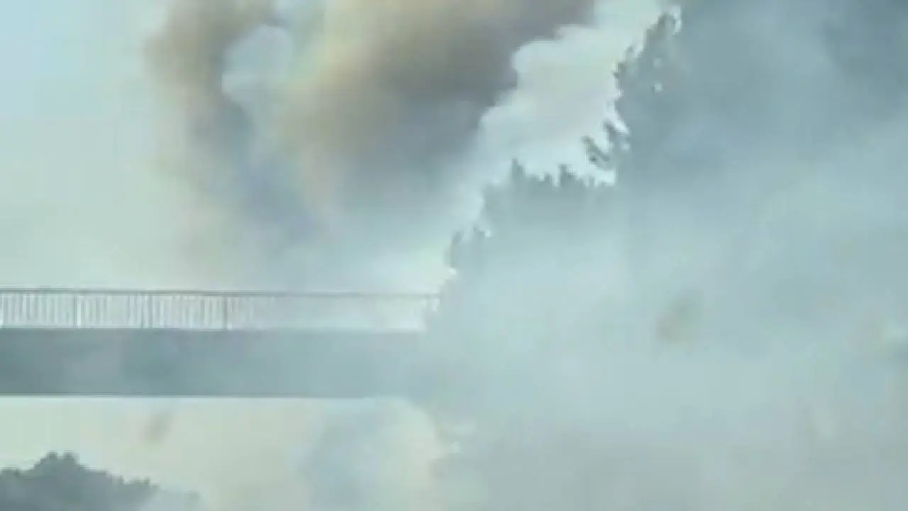Brand76
