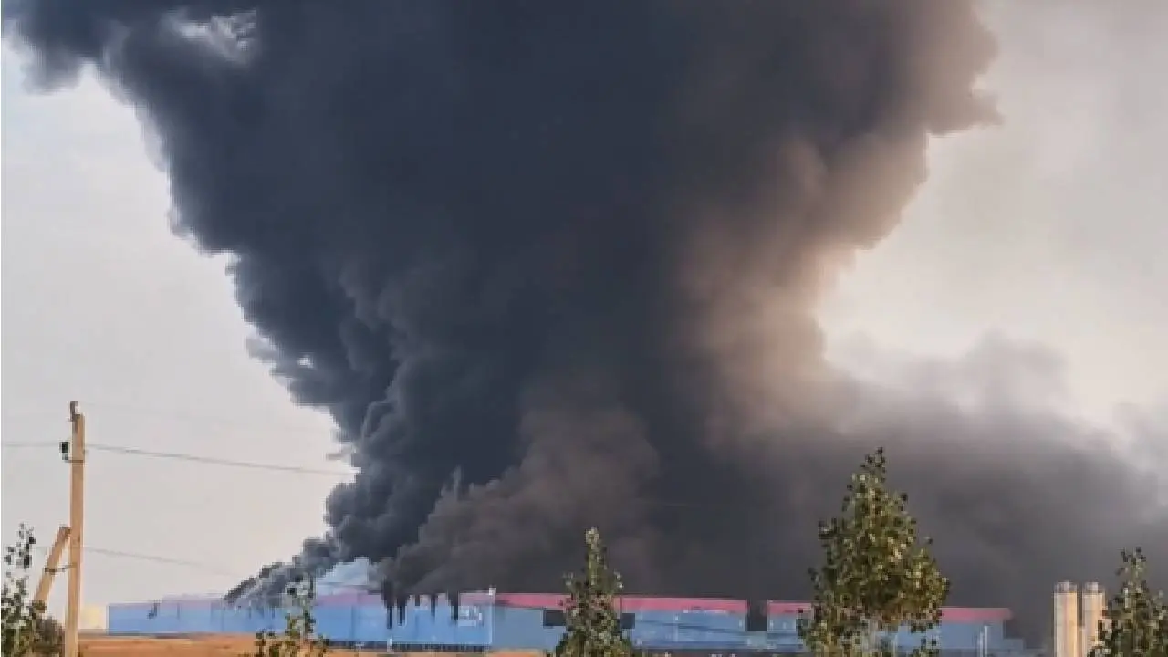 Brandje