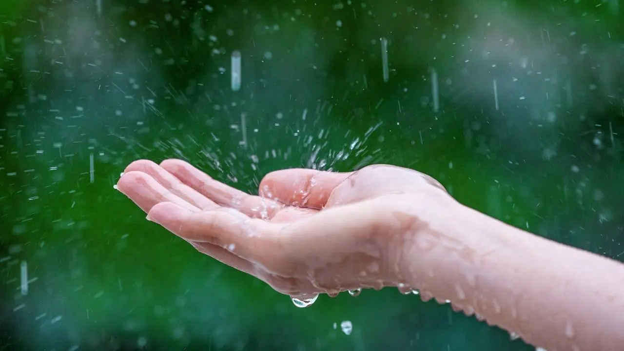 Regen