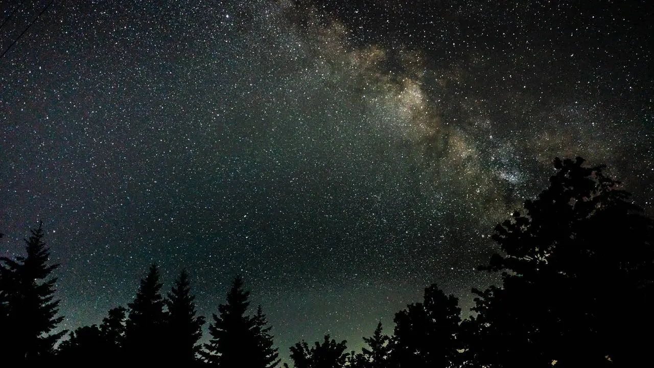 Stars