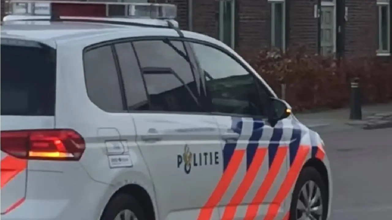 Pola