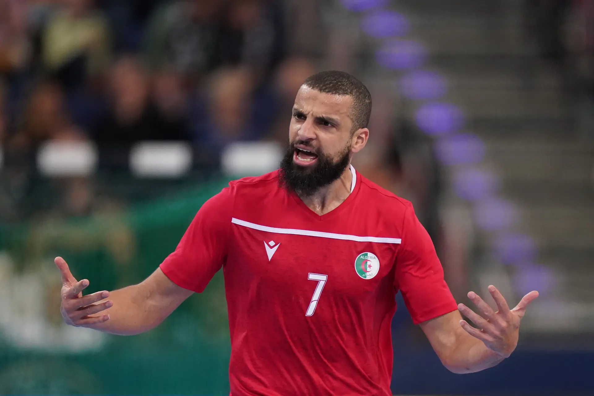 hichem daoud