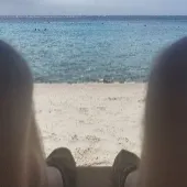njmt