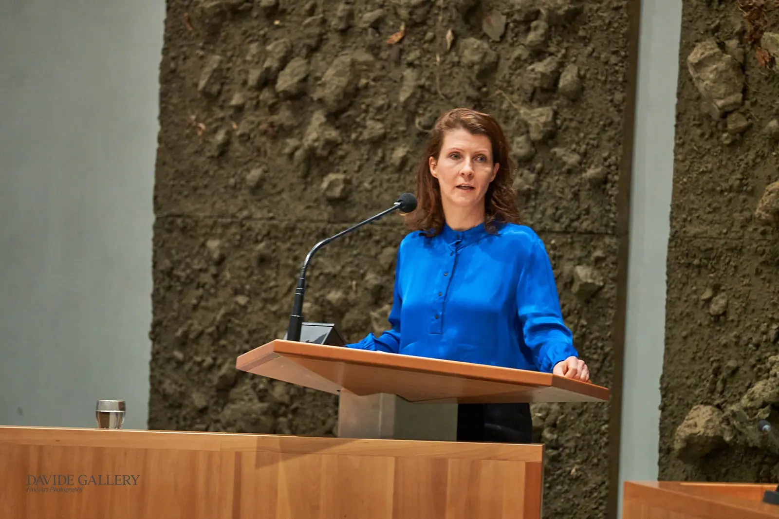 de dagelijkse standaard dh 01131
