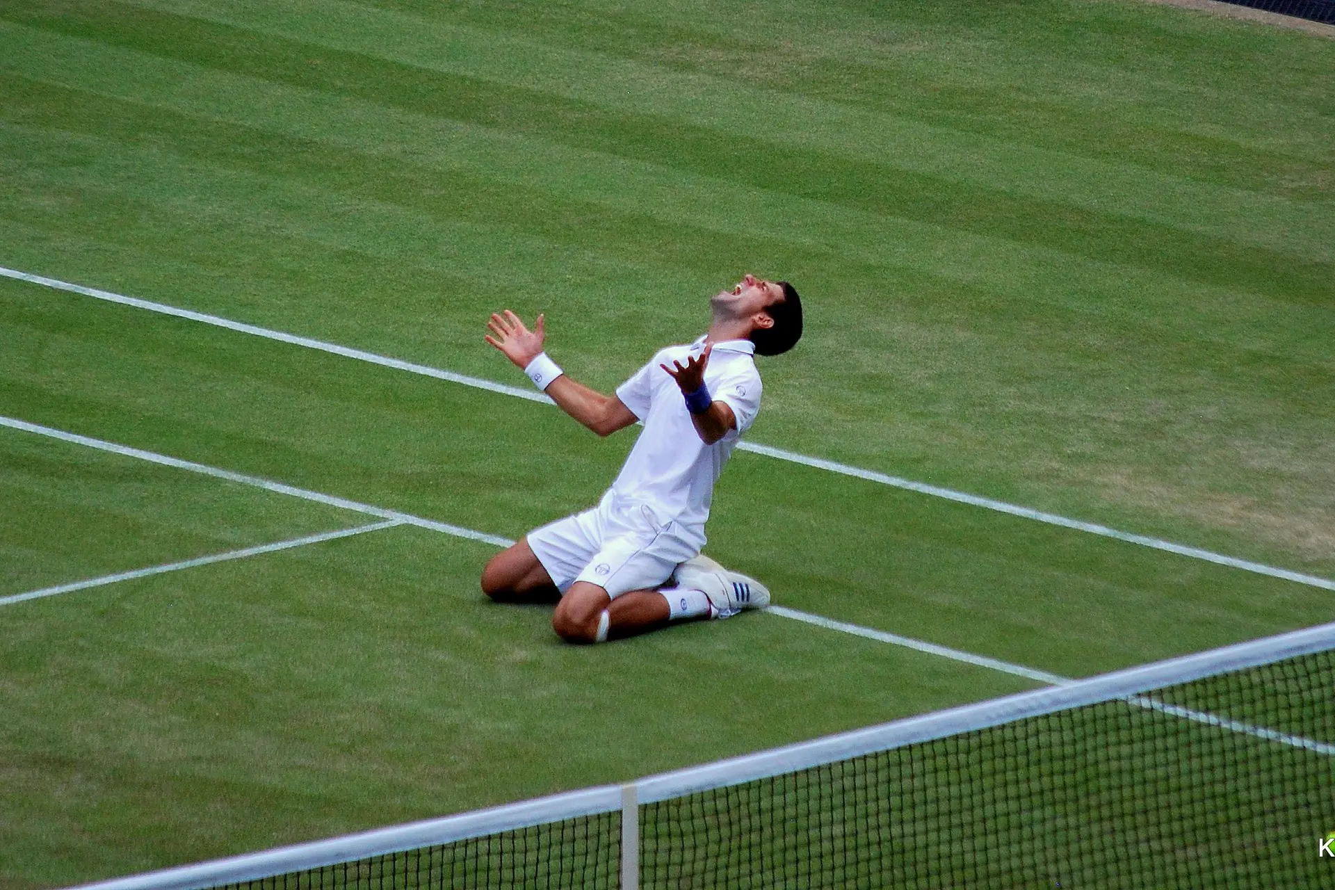 novak djokovic wimbledon 2011 semifinal win celebration