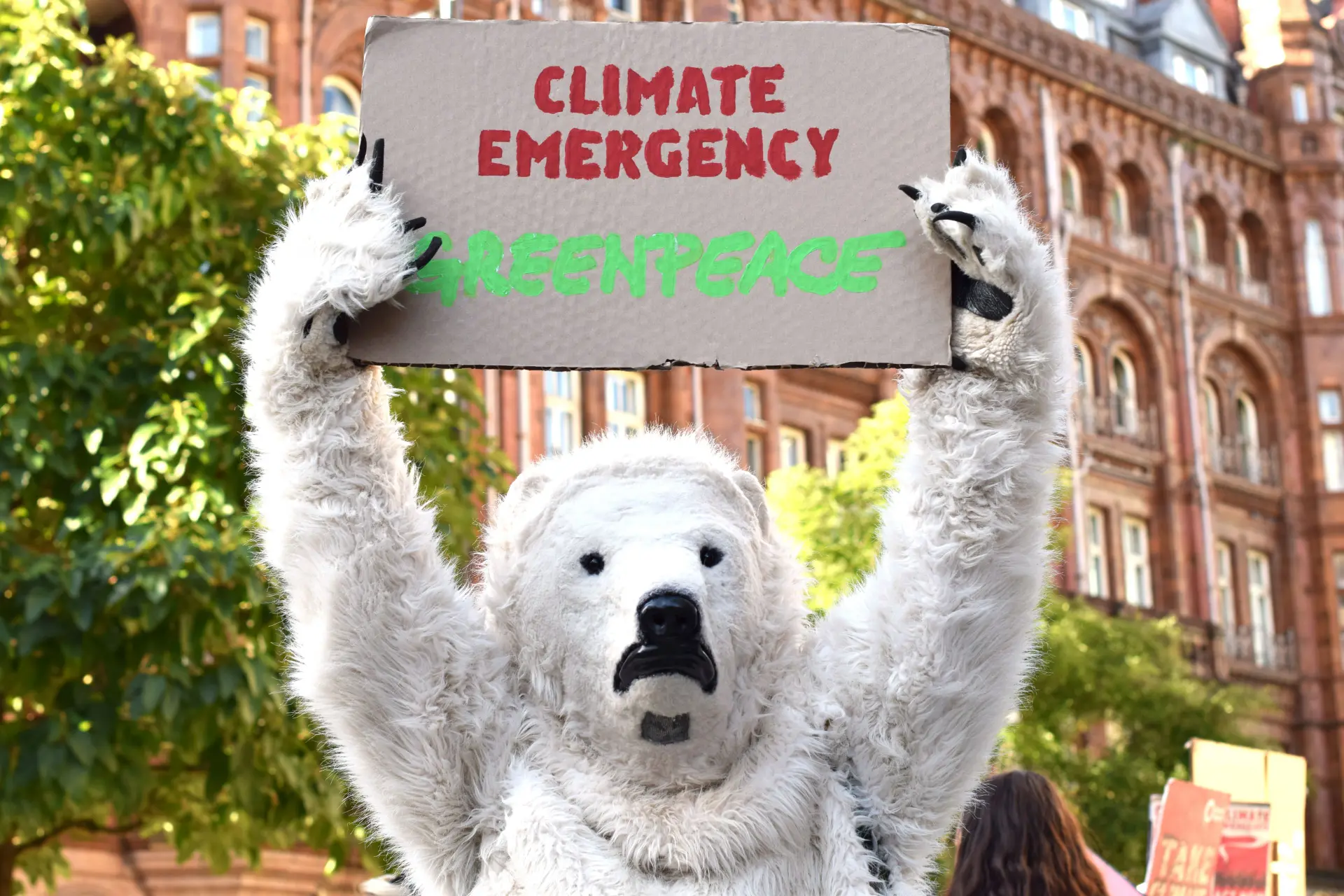 Rechter hakt Greenpeace in pan: 667 miljoen boete voor laster