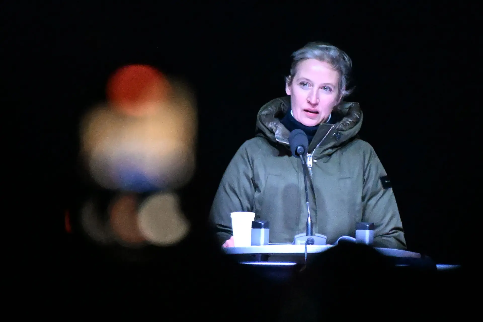 -Video- Alice Weidel schrikt van grof geweld immigranten: 'Tijdens Nieuwjaar leek het oorlog'
