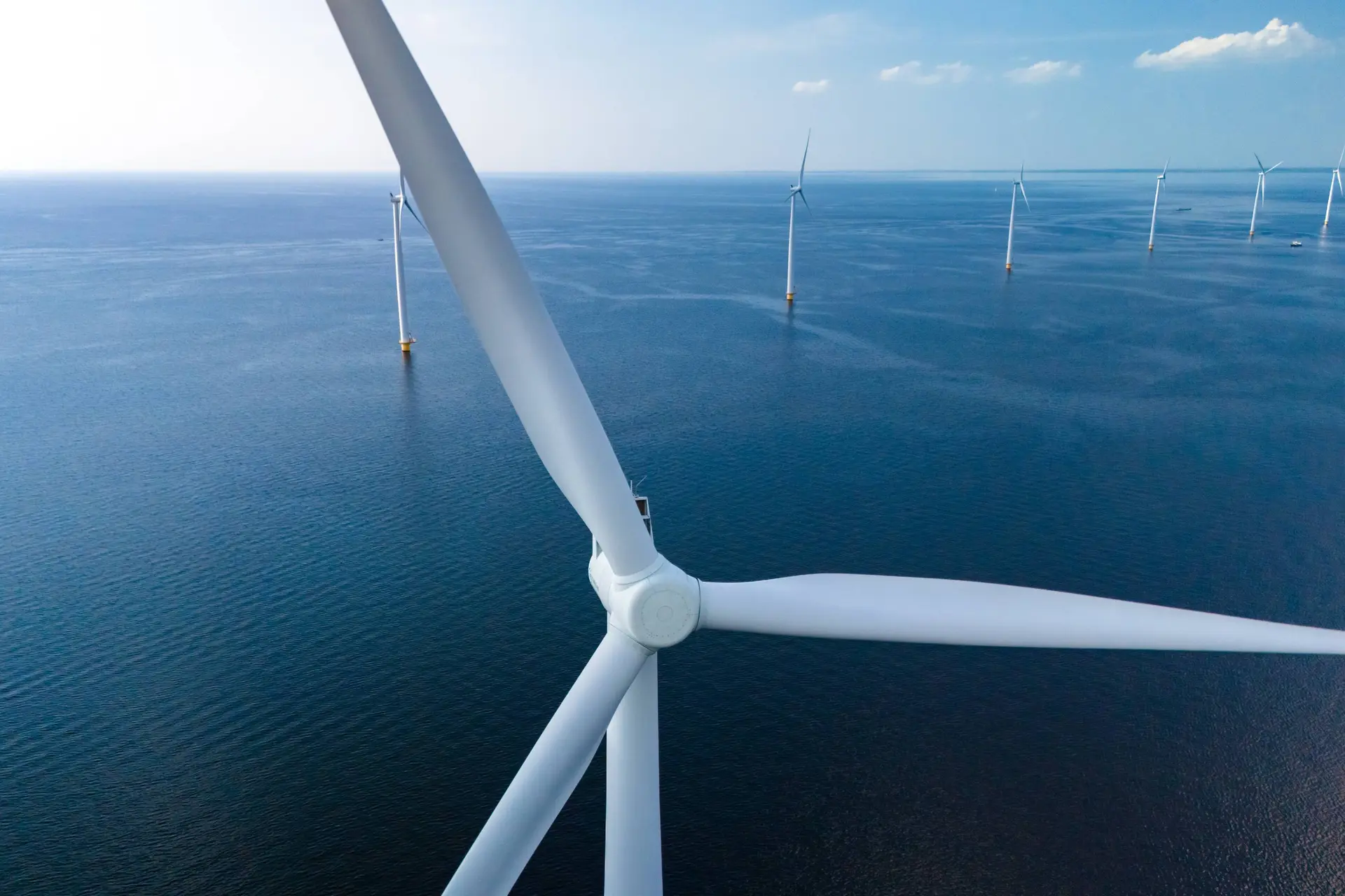 Goed nieuws ondanks D66-winst: Geen bedrijf wil windpark Noordzee bouwen
