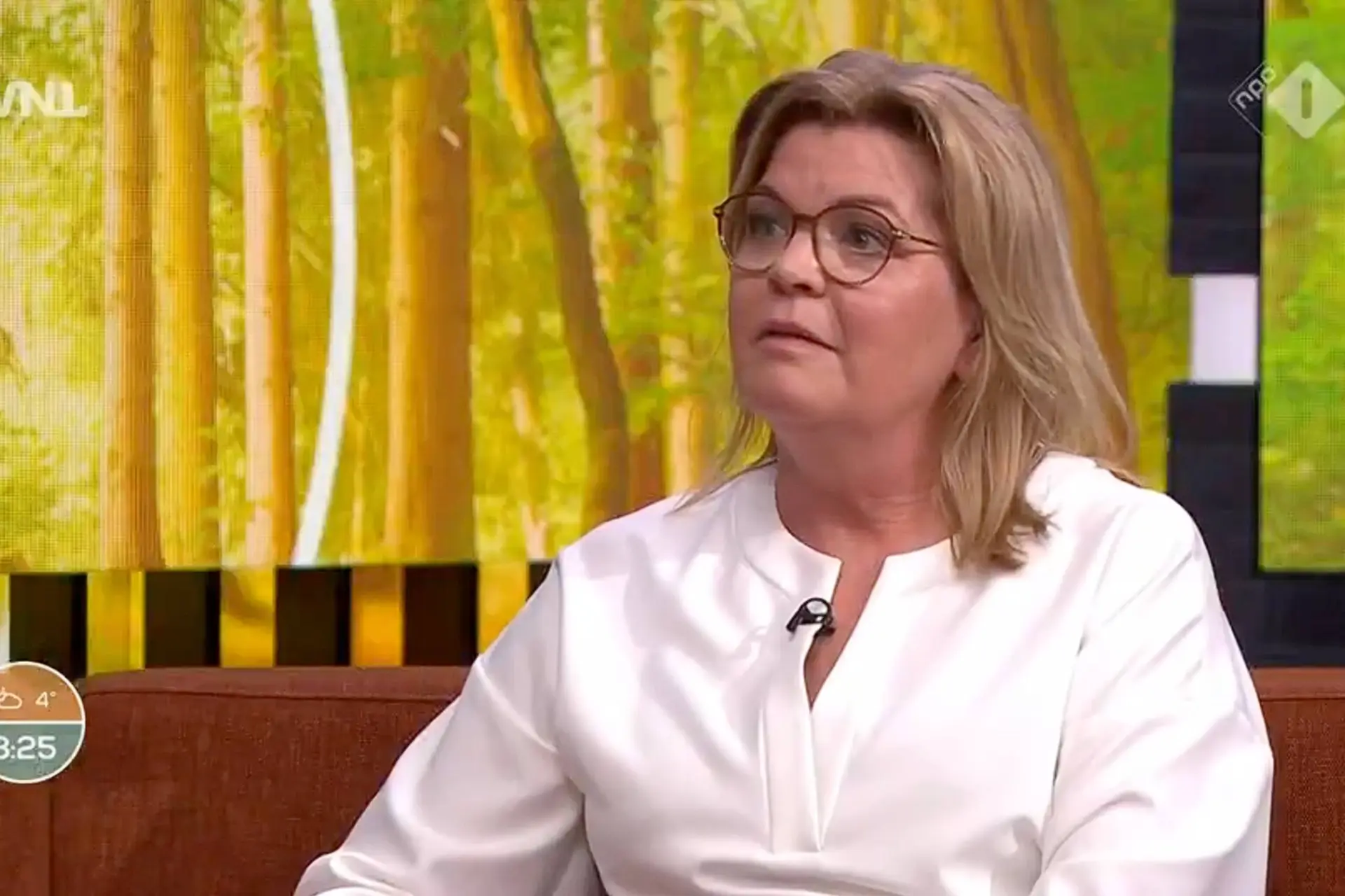 VOORMALIG VVD-STIKSTOFMINISTER WIL NU UW AUTO AANPAKKEN: Christianne van der Wal pleit voor kilometerheffing