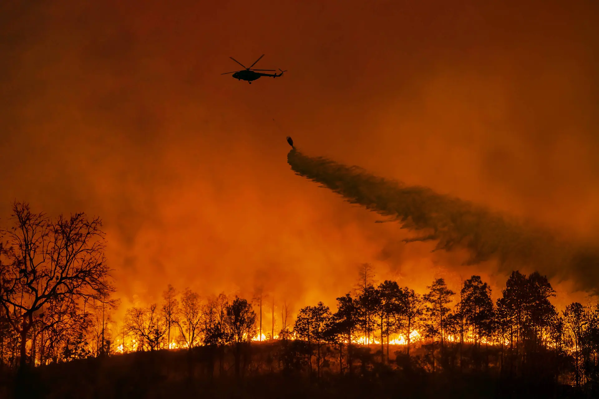 Klimaatgekte op hol geslagen: volgens de NOS redden ontmoetingsplekken ons van hittegolven