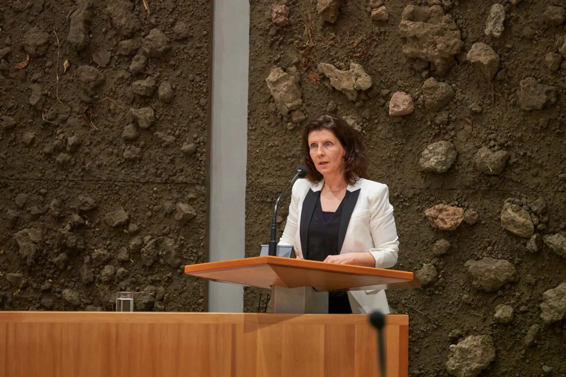 dds tweede kamer gevallen kabinet65