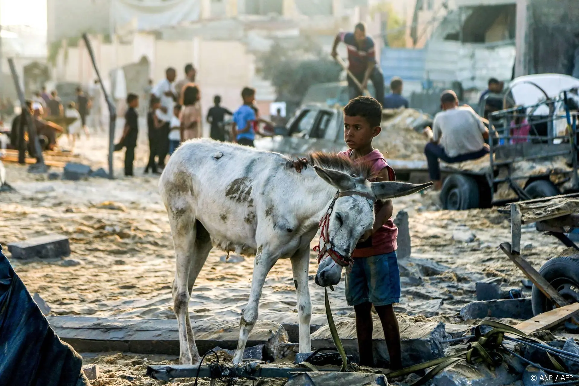 VN-rapporteur martelingen waarschuwt voor honger in Gaza