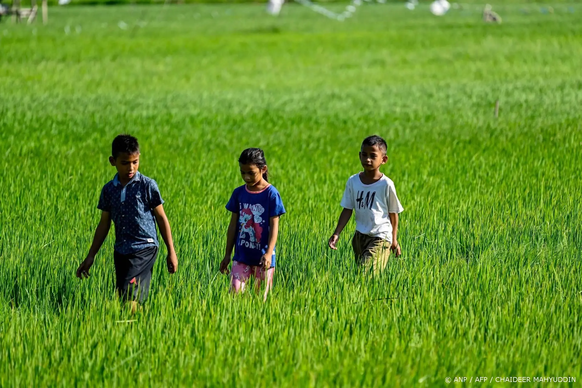 Honderden kinderen in Indonesië ziek na gratis maaltijden