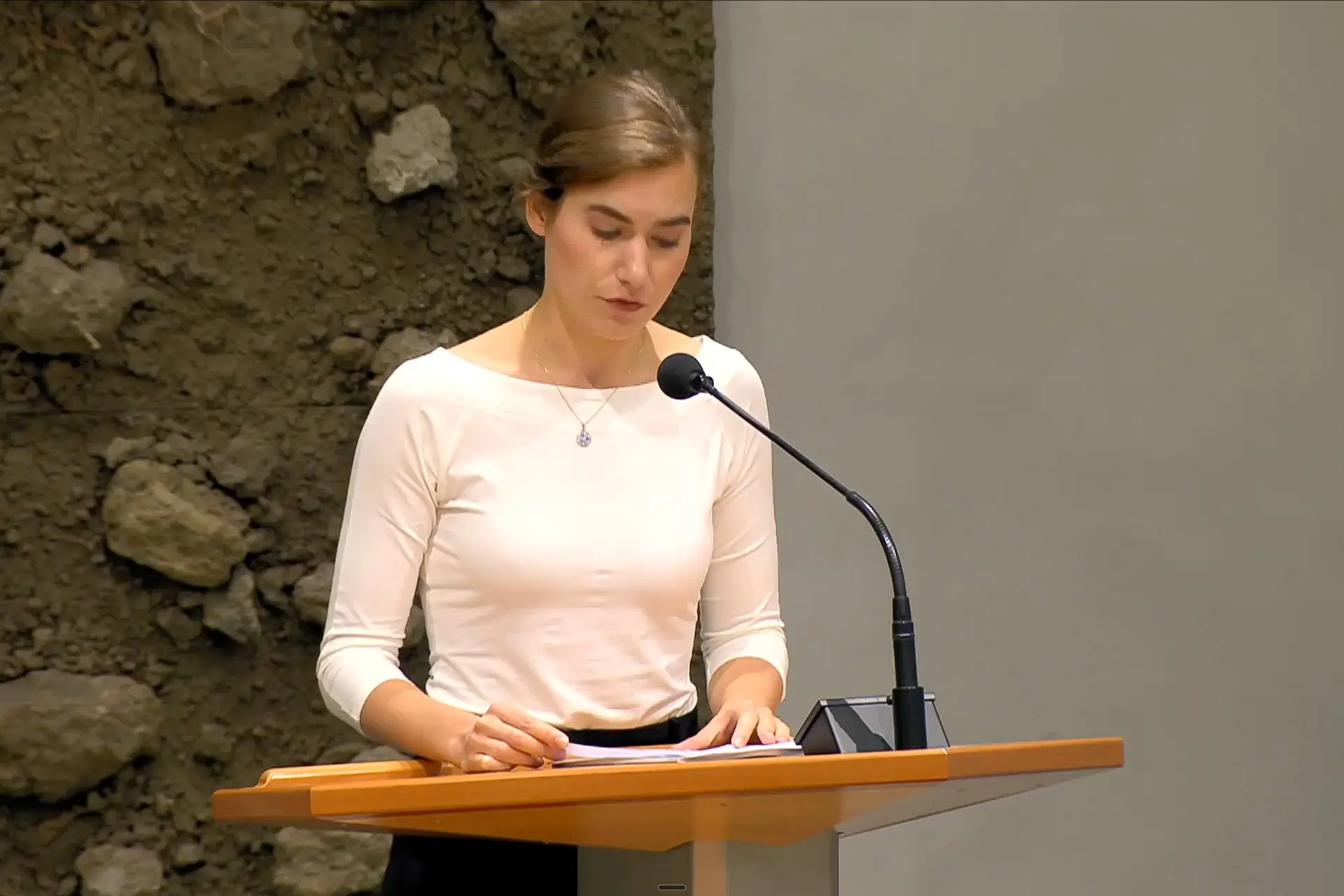 FVD-leider Lidewij de Vos: “3 miljoen immigranten sinds 2010 -asielstop en remigratie nodig"