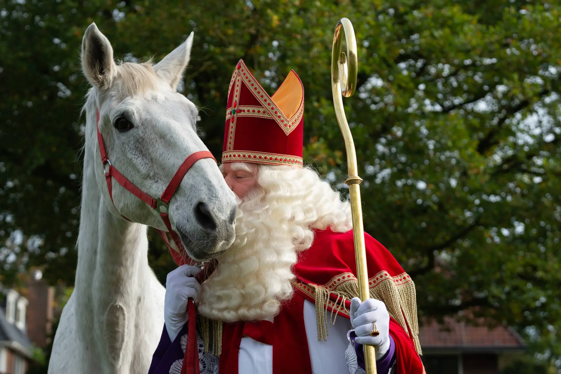 Nu ook het paard van Sinterklaas verboden? Nederland is gek geworden
