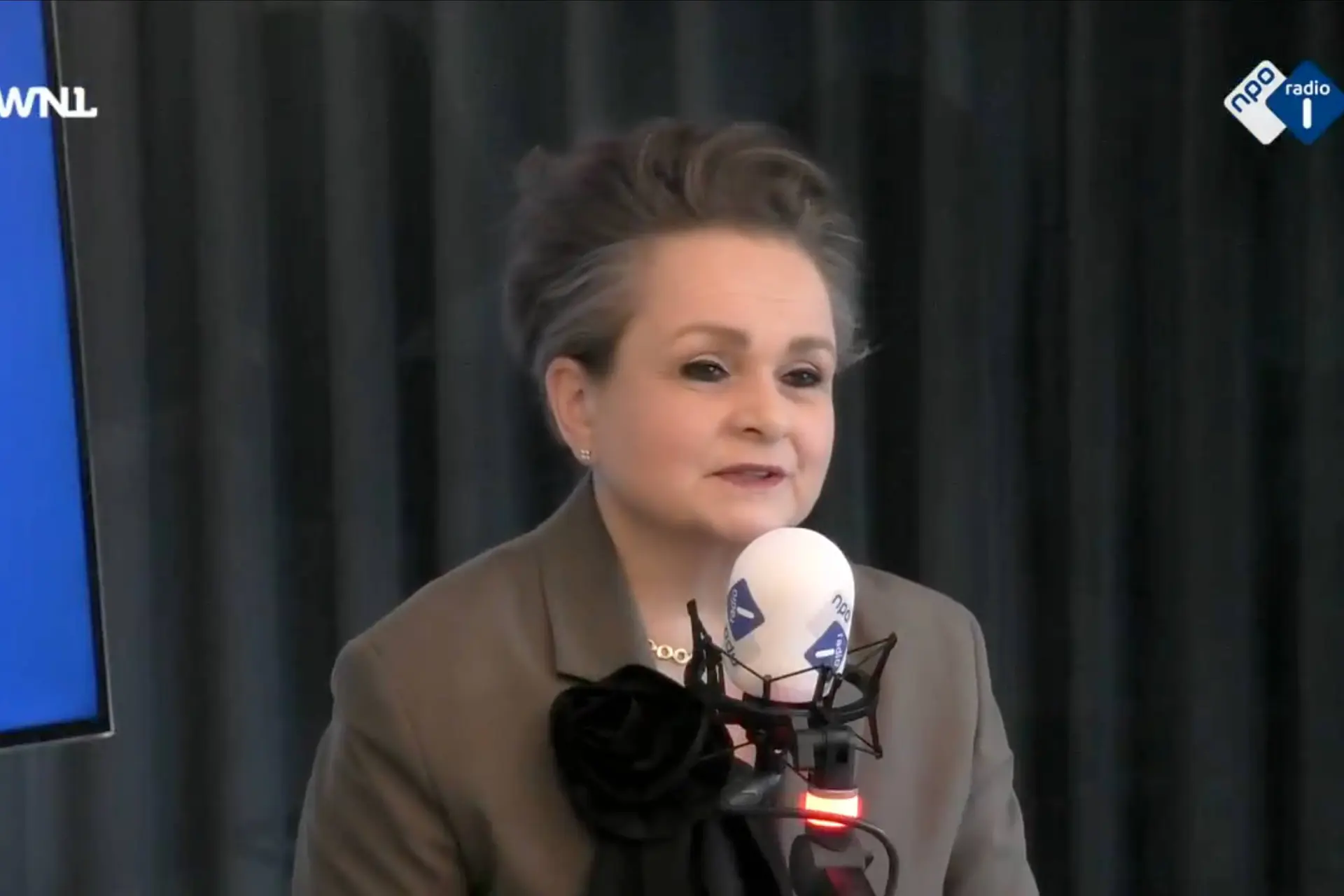 D66-griezel Alexandra van Huffelen verdedigt Hamas-vriendje Harry Pettit en valt eigen minister aan: ‘Hij ging te ver!’