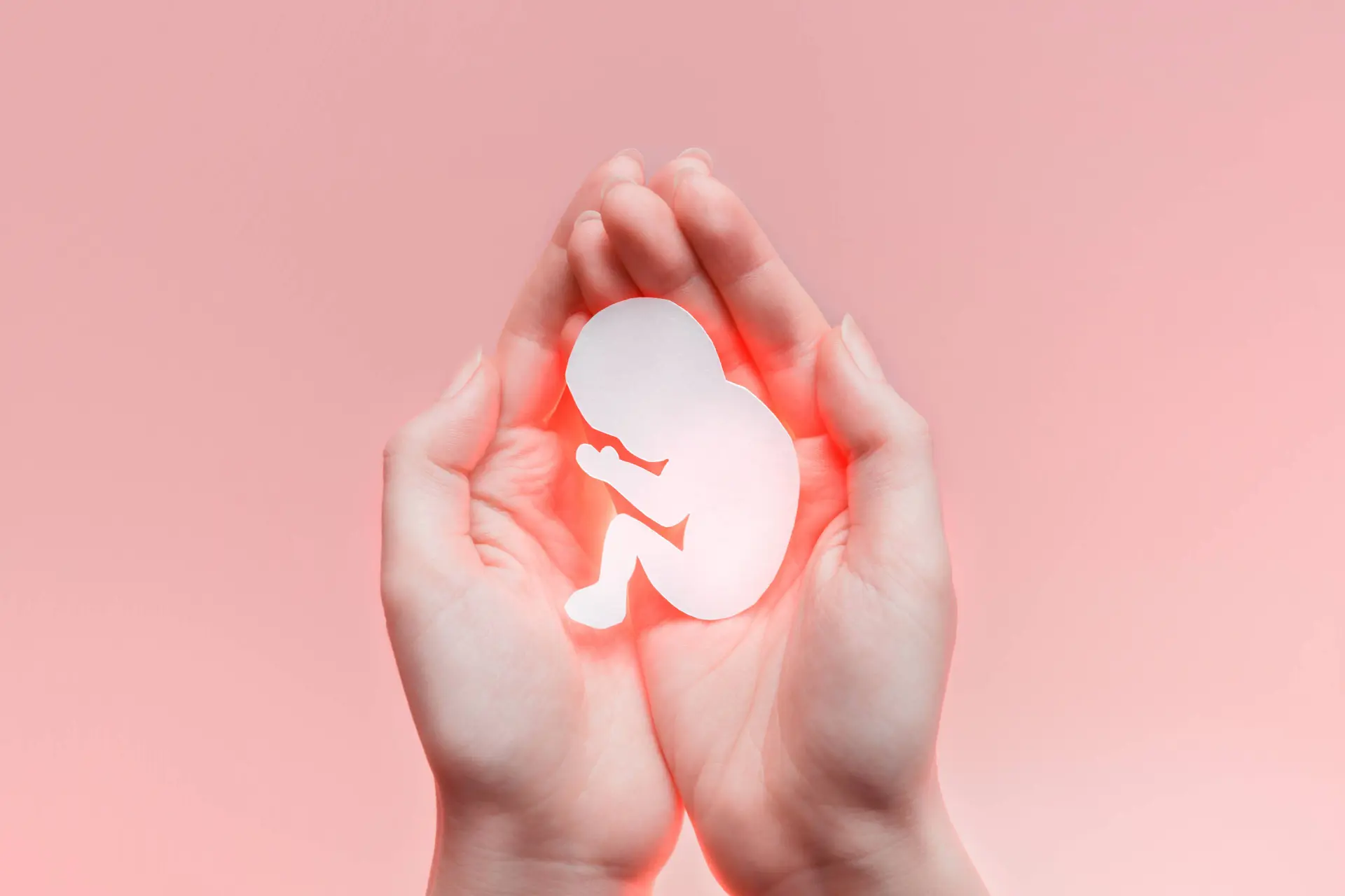 Horror in de polder: Baby’s van 24 weken worden leven en onverdoofd weggesneden – SGP slaat alarm over martelpraktijken!
