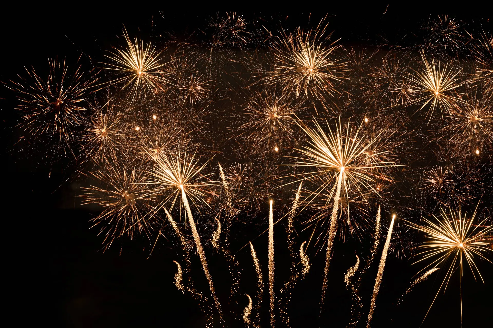 shutterstock_2558056469
