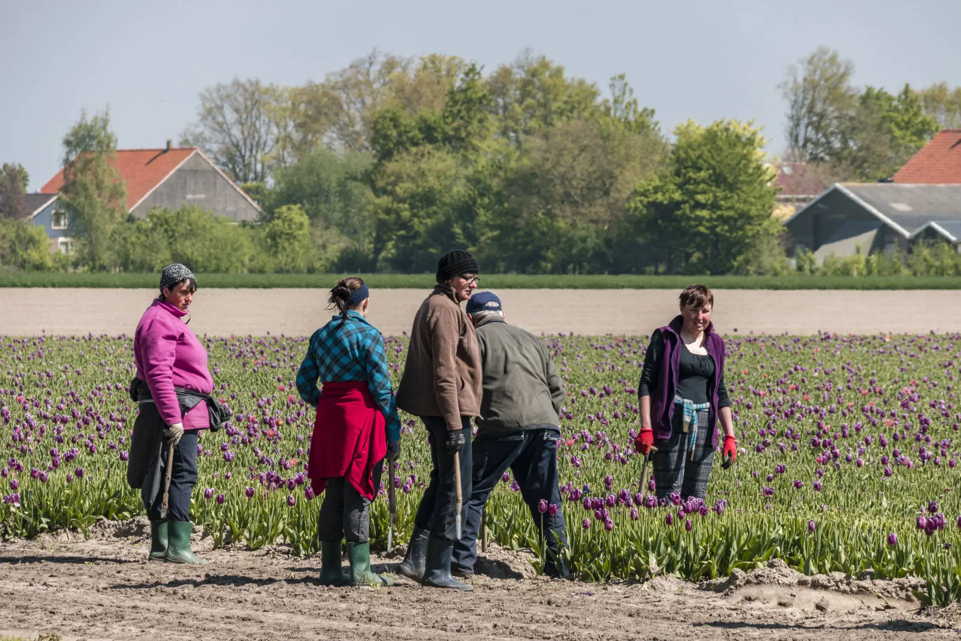 De omvolking gaat door: Polen vertrekken, maar hordes Roemenen en Bulgaren nemen hun plaats in - En straks de rest van de wereld!