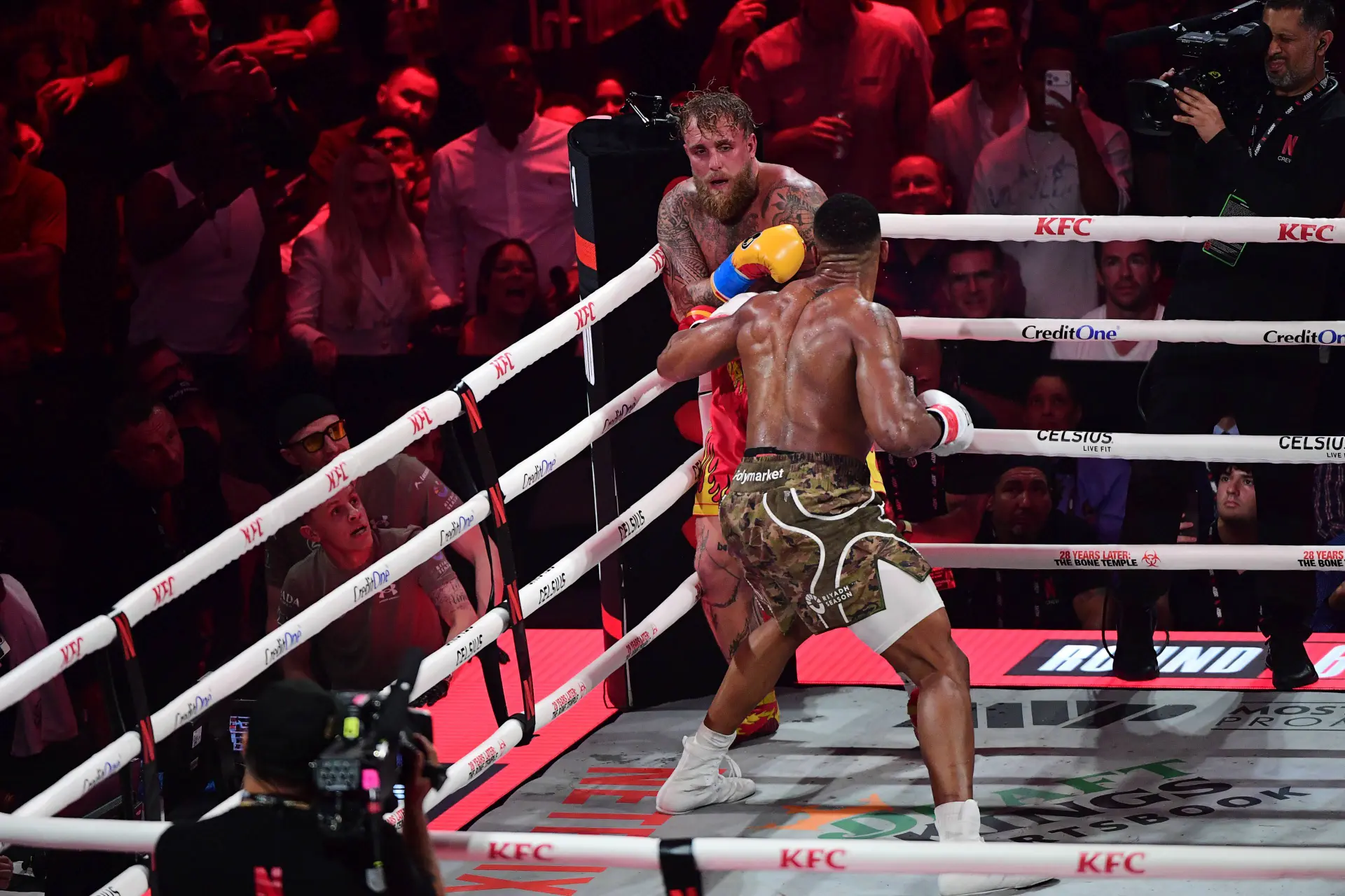 Het sprookje is uit: Jake Paul vernederd in de ring, Jutta's vriendje blijkt geen partij voor echte kampioen