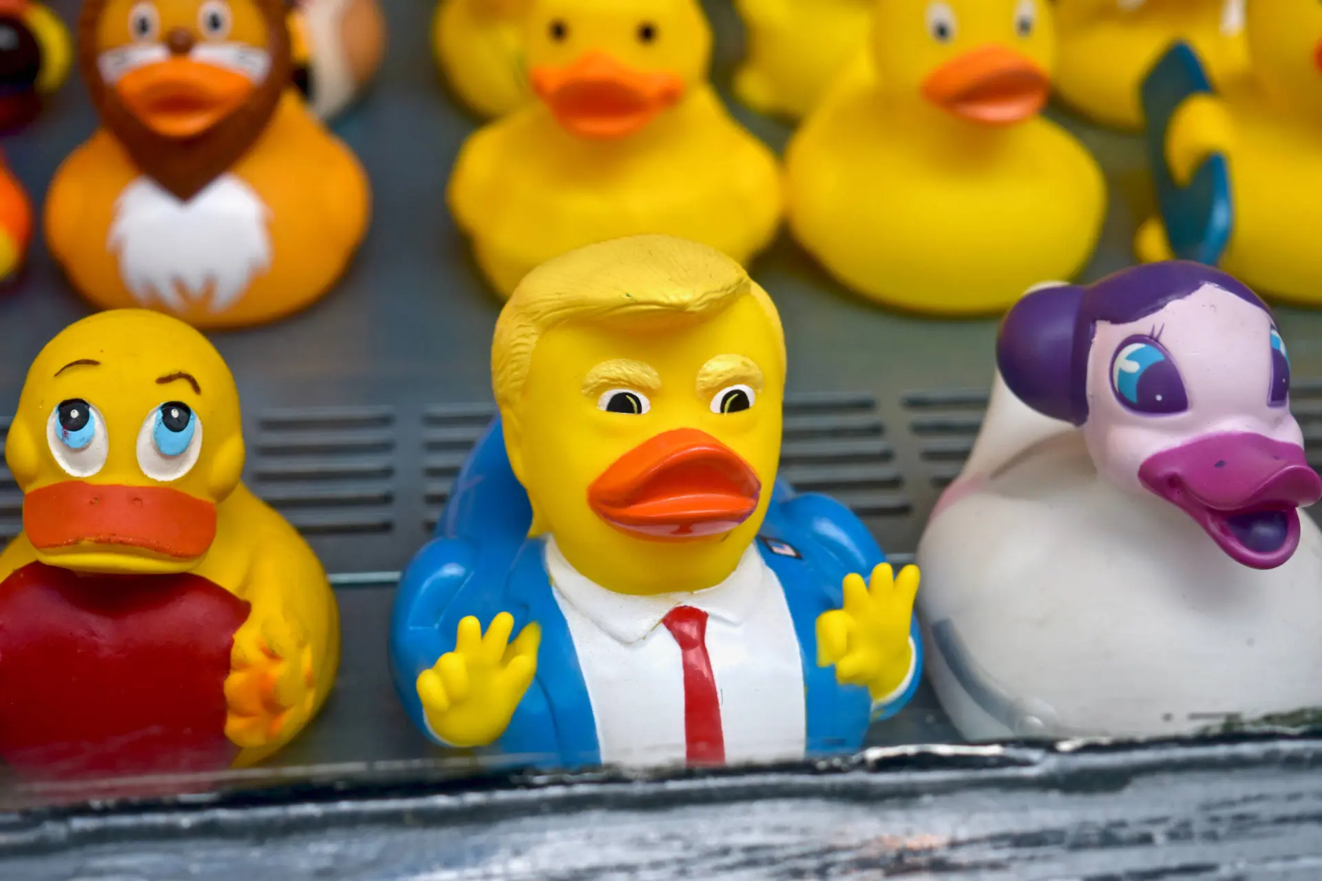 HANDELSOORLOG DREIGT: Trump zet het mes op de keel van Nederland om Groenland-deal af te dwingen