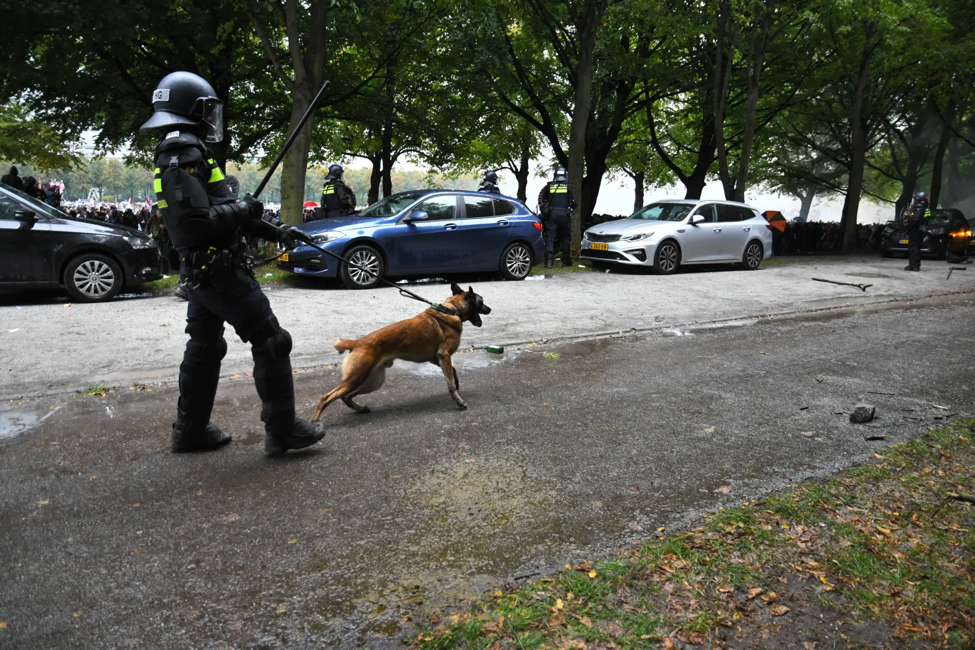 Woke-gekte slaat door: Dierenbescherming wil politiehond cancellen want 'hij heeft eigenwaarde'