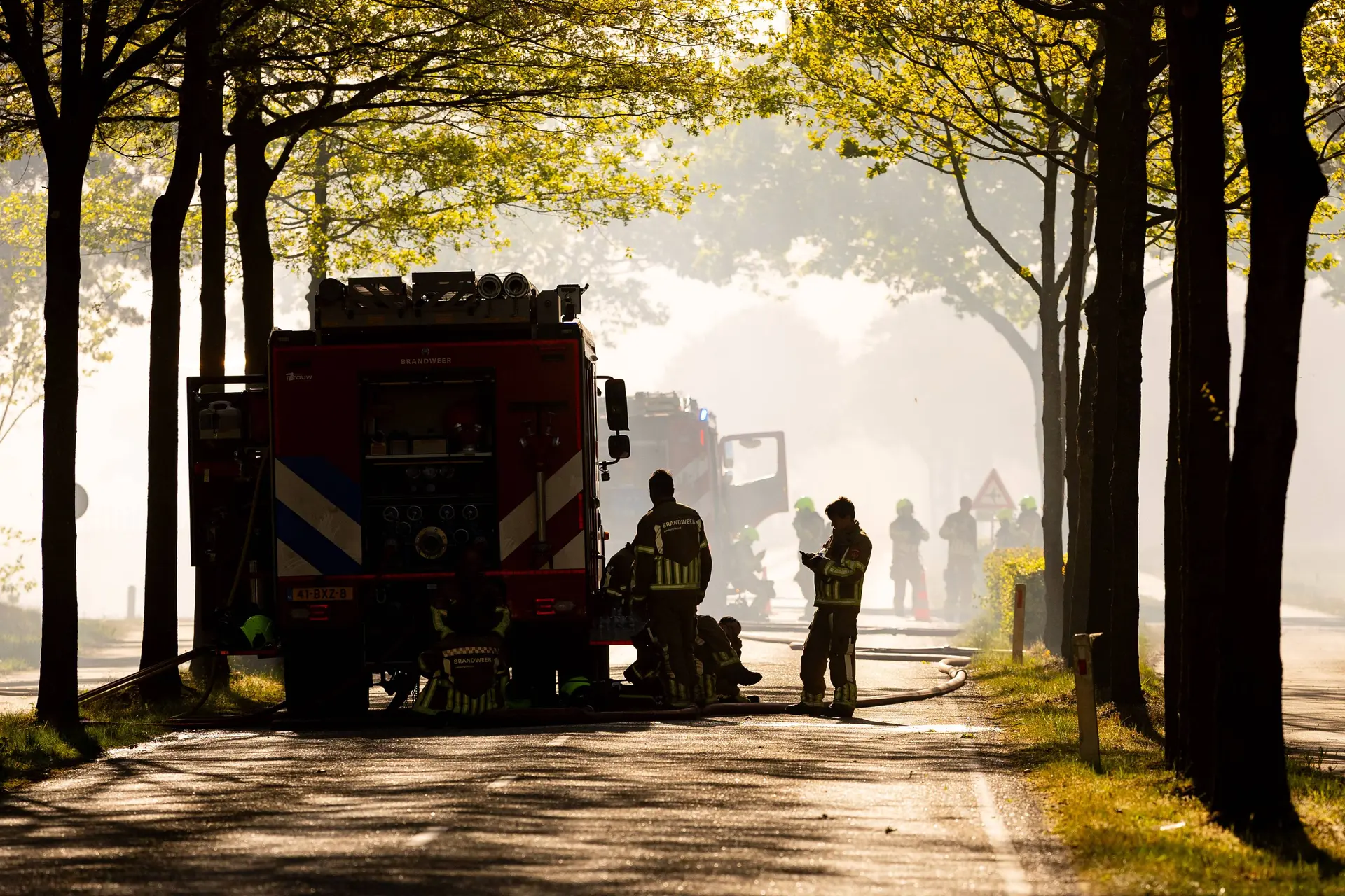 Nederland brandt: Falend natuurbeheer wreekt zich, chaos in Brabant en Limburg door grote natuurbranden