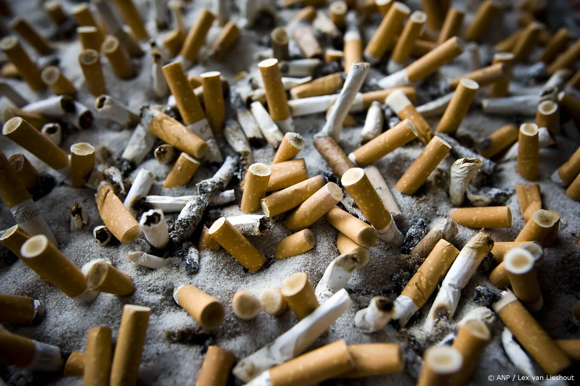 RIVM stelt voor sigarettenfilters te verbieden om microplastics